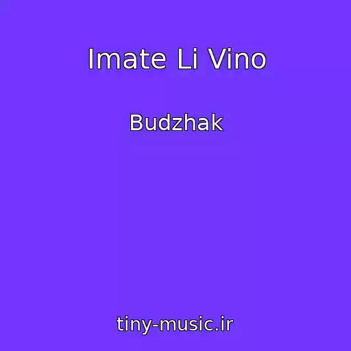 کاور آهنگ Imate Li Vino از Budzhak