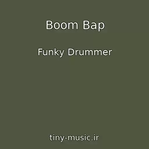 کاور آهنگ Boom Bap از Funky Drummer