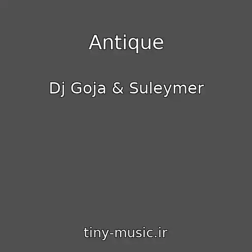 کاور آهنگ Antique از Dj Goja & Suleymer