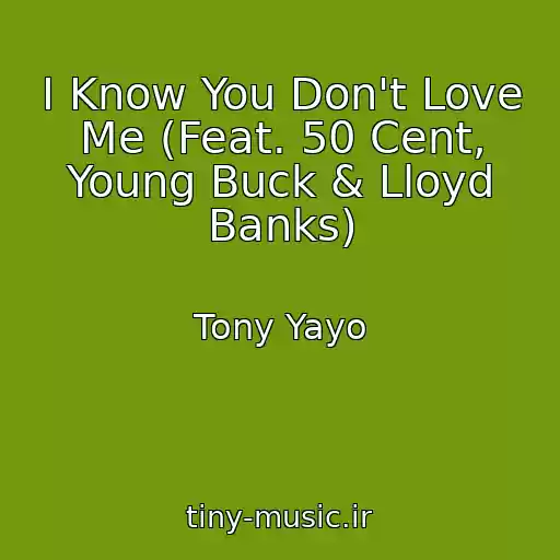کاور آهنگ I Know You Don't Love Me (Feat. 50 Cent, Young Buck & Lloyd Banks) از Tony Yayo
