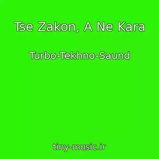 کاور آهنگ Tse Zakon, A Ne Kara از Turbo-Tekhno-Saund