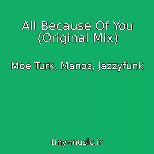کاور آهنگ All Because Of You (Original Mix) از Moe Turk, Manos, Jazzyfunk