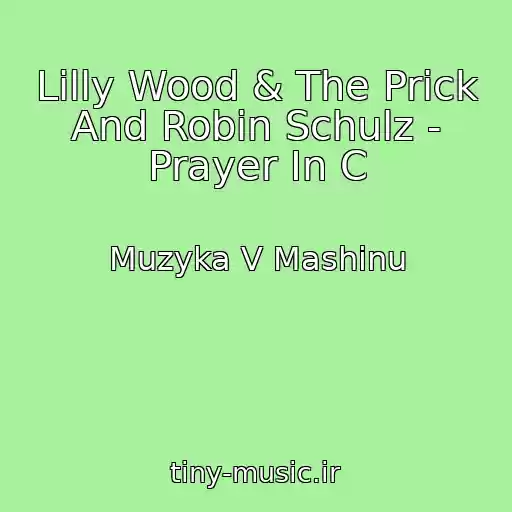 کاور آهنگ Lilly Wood & The Prick And Robin Schulz - Prayer In C از Muzyka V Mashinu