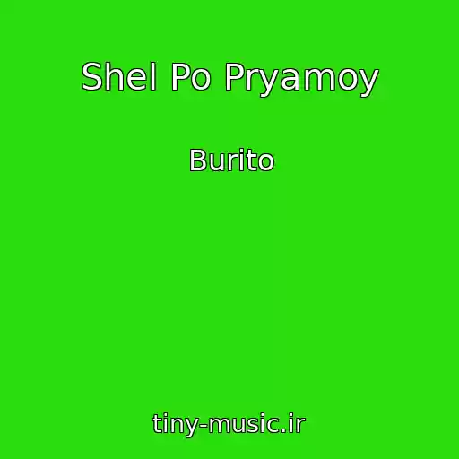 کاور آهنگ Shel Po Pryamoy از Burito