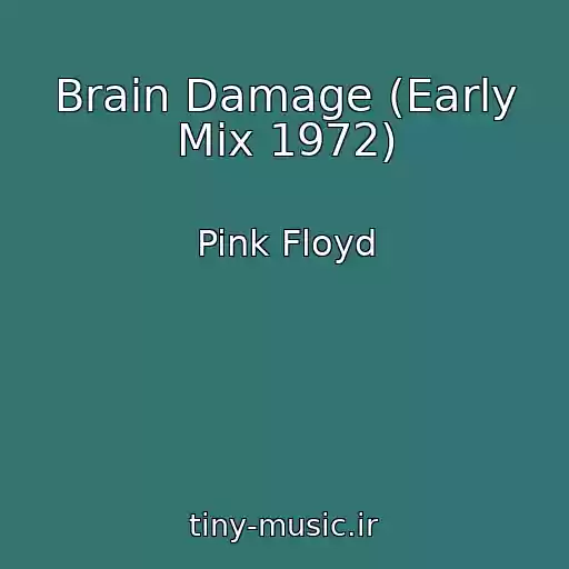 کاور آهنگ Brain Damage (Early Mix 1972) از Pink Floyd