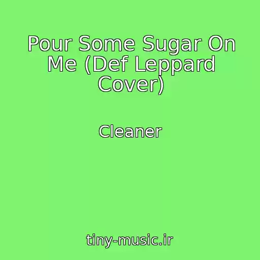 کاور آهنگ Pour Some Sugar On Me (Def Leppard Cover) از Cleaner