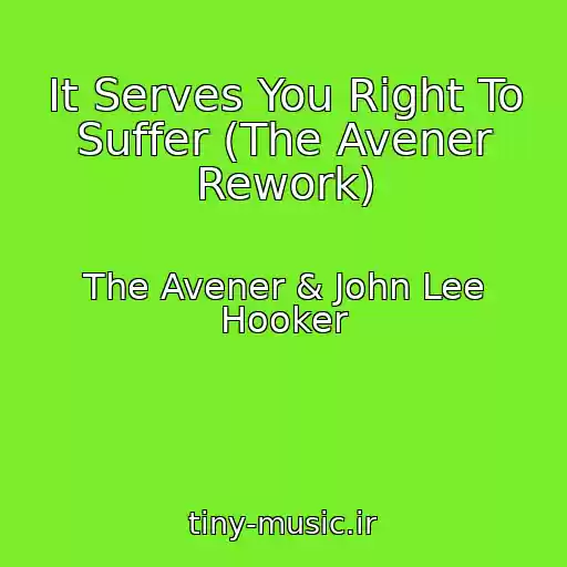 کاور آهنگ It Serves You Right To Suffer (The Avener Rework) از The Avener & John Lee Hooker