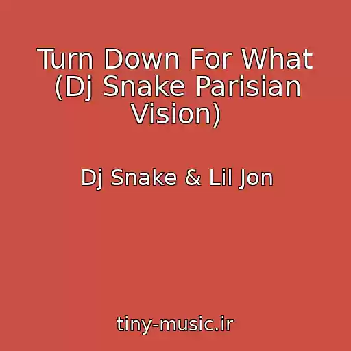 کاور آهنگ Turn Down For What (Dj Snake Parisian Vision) از Dj Snake & Lil Jon