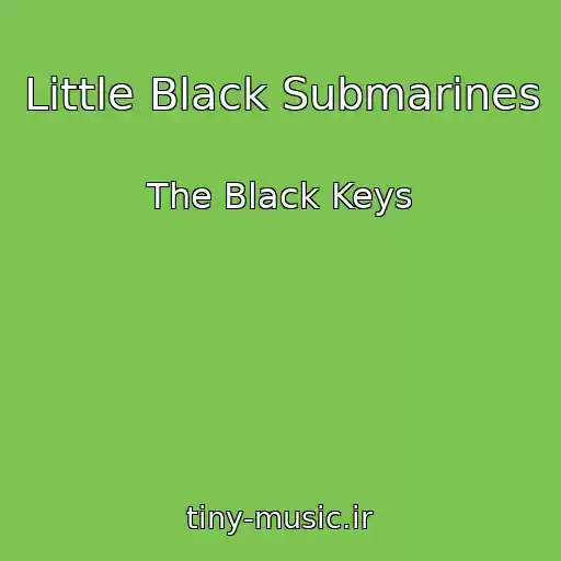 کاور آهنگ Little Black Submarines از The Black Keys
