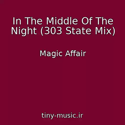 کاور آهنگ In The Middle Of The Night (303 State Mix) از Magic Affair