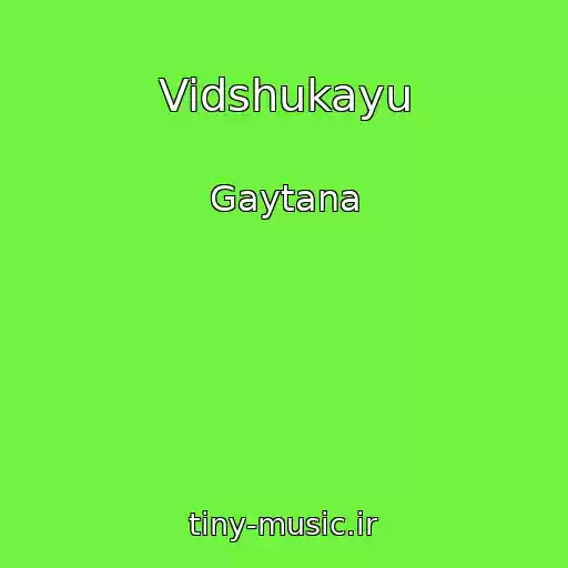 کاور آهنگ Vidshukayu از Gaytana