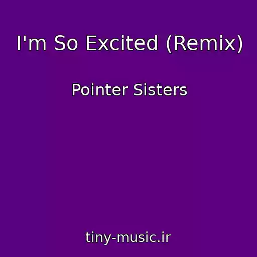کاور آهنگ I'm So Excited (Remix) از Pointer Sisters