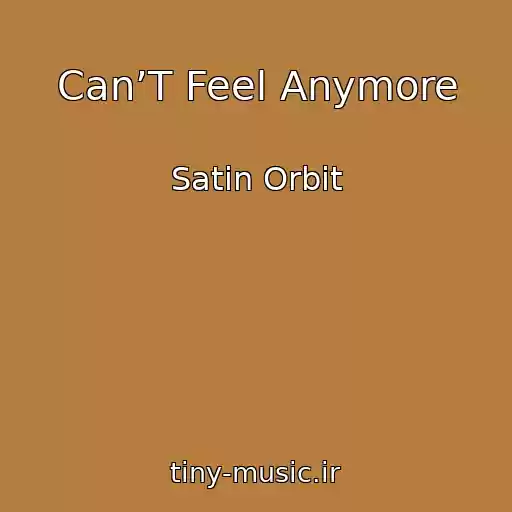 کاور آهنگ Can’T Feel Anymore از Satin Orbit
