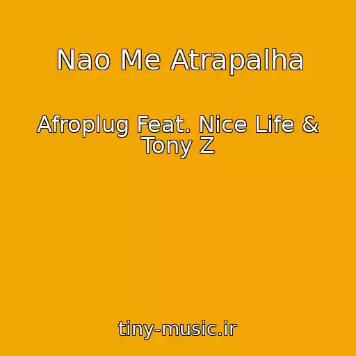 کاور آهنگ Nao Me Atrapalha از Afroplug Feat. Nice Life & Tony Z