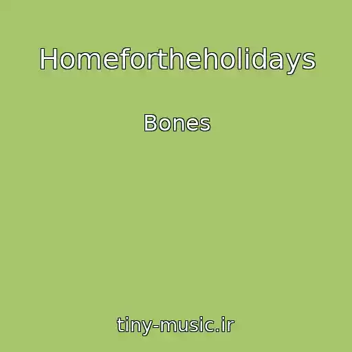 کاور آهنگ Homefortheholidays از Bones