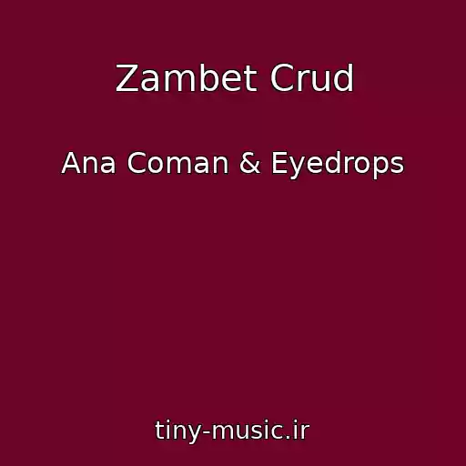 کاور آهنگ Zambet Crud از Ana Coman & Eyedrops