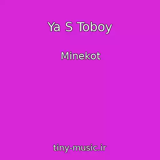 کاور آهنگ Ya S Toboy از Minekot