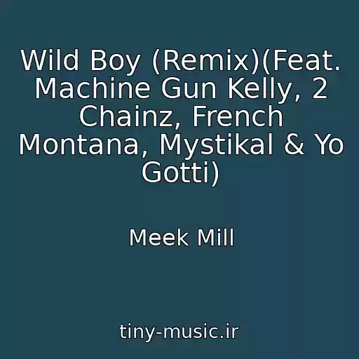 کاور آهنگ Wild Boy (Remix)(Feat. Machine Gun Kelly, 2 Chainz, French Montana, Mystikal & Yo Gotti) از Meek Mill