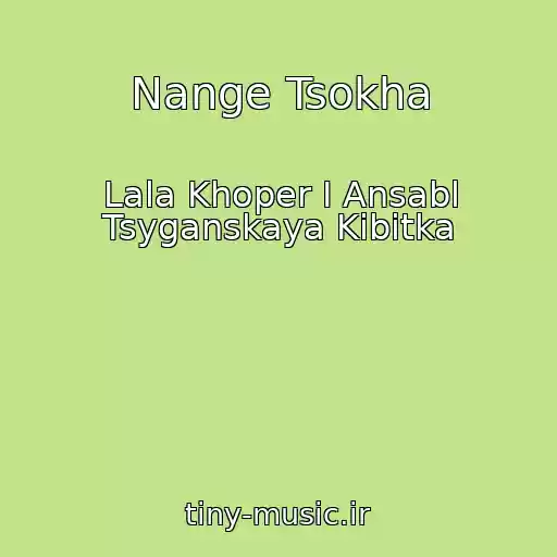 کاور آهنگ Nange Tsokha از Lala Khoper I Ansabl Tsyganskaya Kibitka