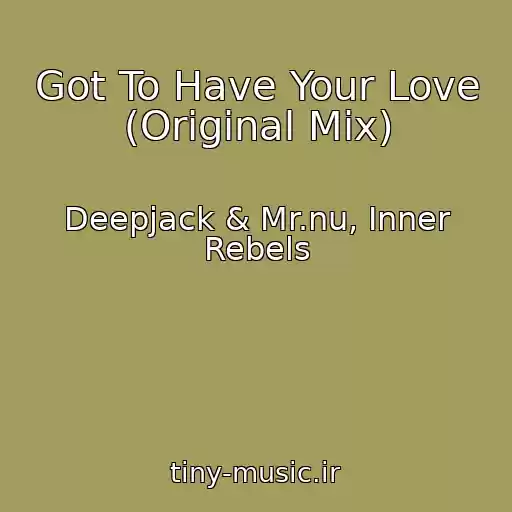 کاور آهنگ Got To Have Your Love (Original Mix) از Deepjack & Mr.nu, Inner Rebels