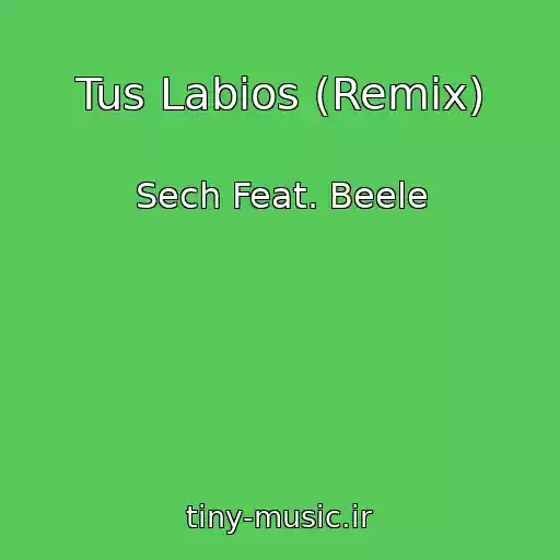 کاور آهنگ Tus Labios (Remix) از Sech Feat. Beele