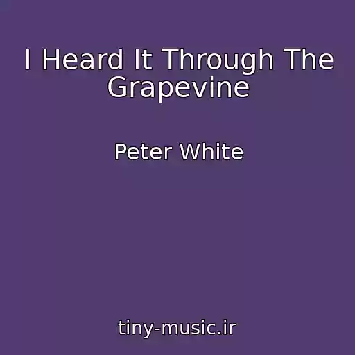 کاور آهنگ I Heard It Through The Grapevine از Peter White