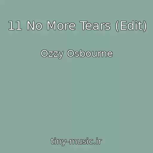 کاور آهنگ 11 No More Tears (Edit) از Ozzy Osbourne