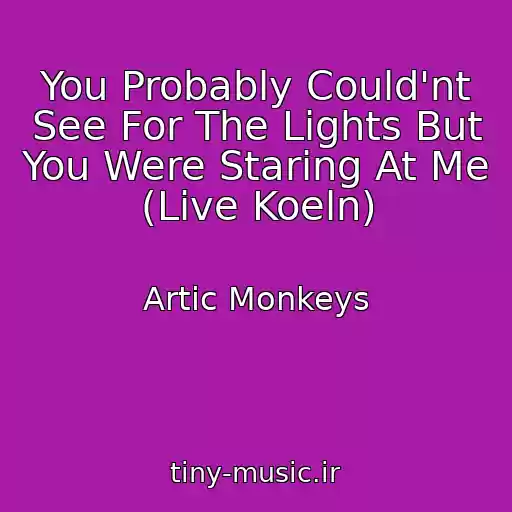 کاور آهنگ You Probably Could'nt See For The Lights But You Were Staring At Me (Live Koeln) از Artic Monkeys