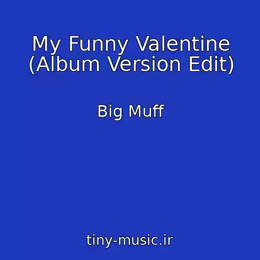 کاور آهنگ My Funny Valentine (Album Version Edit) از Big Muff