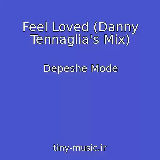 کاور آهنگ Feel Loved (Danny Tennaglia's Mix) از Depeshe Mode