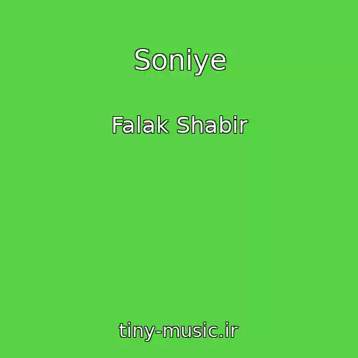 کاور آهنگ Soniye از Falak Shabir