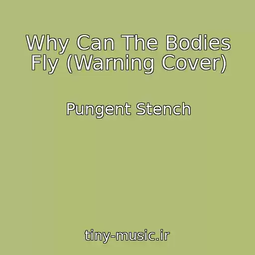 کاور آهنگ Why Can The Bodies Fly (Warning Cover) از Pungent Stench