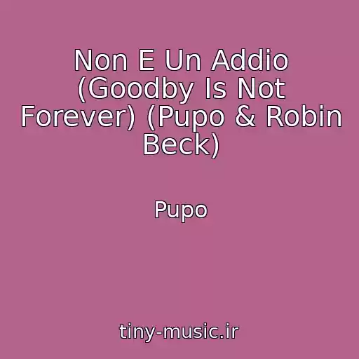 کاور آهنگ Non E Un Addio (Goodby Is Not Forever) (Pupo & Robin Beck) از Pupo