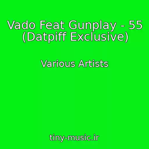 کاور آهنگ Vado Feat Gunplay - 55 (Datpiff Exclusive) از Various Artists