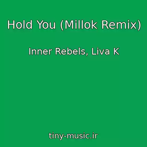 کاور آهنگ Hold You (Millok Remix) از Inner Rebels, Liva K