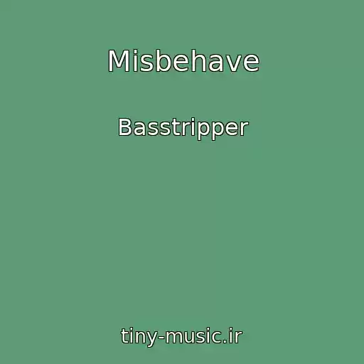کاور آهنگ Misbehave از Basstripper
