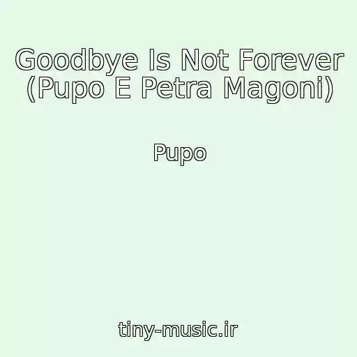 کاور آهنگ Goodbye Is Not Forever  (Pupo E Petra Magoni) از Pupo