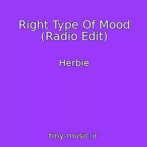 کاور آهنگ Right Type Of Mood (Radio Edit) از Herbie