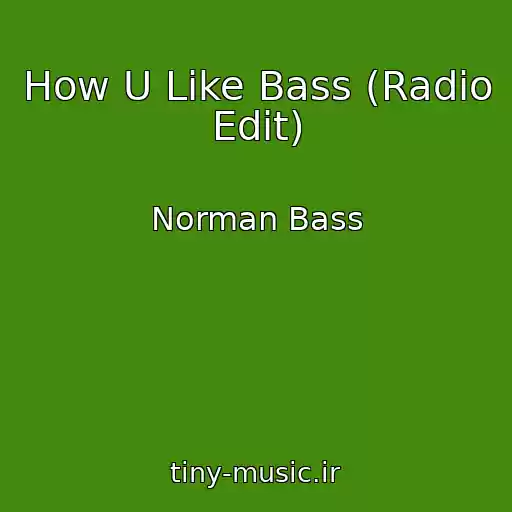 کاور آهنگ How U Like Bass (Radio Edit) از Norman Bass