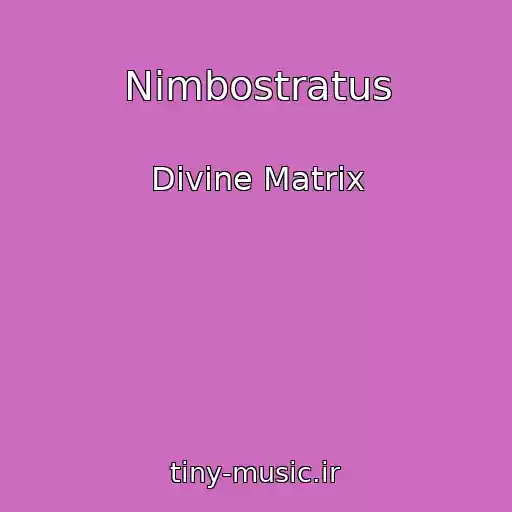 کاور آهنگ Nimbostratus از Divine Matrix