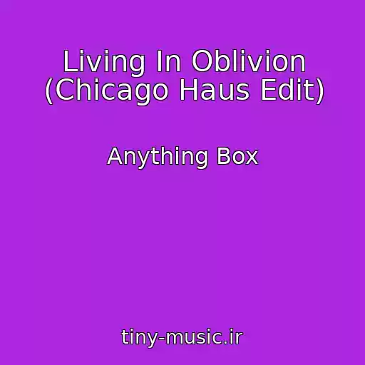کاور آهنگ Living In Oblivion (Chicago Haus Edit) از Anything Box