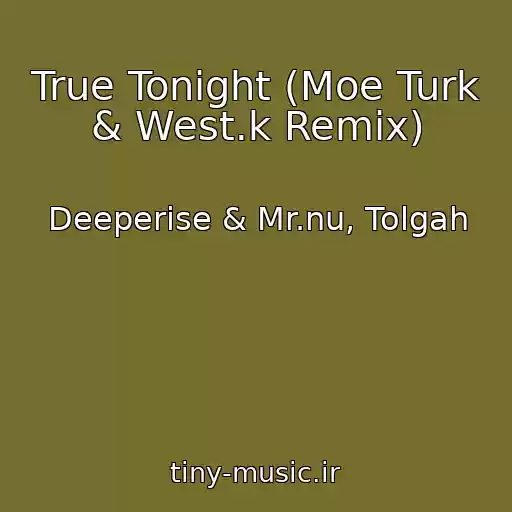 کاور آهنگ True Tonight (Moe Turk & West.k Remix) از Deeperise & Mr.nu, Tolgah