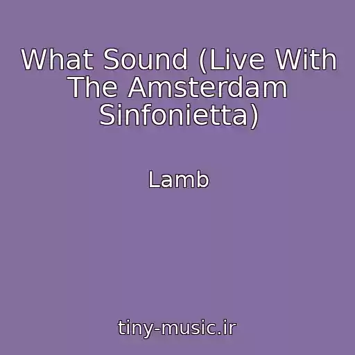 کاور آهنگ What Sound (Live With The Amsterdam Sinfonietta) از Lamb