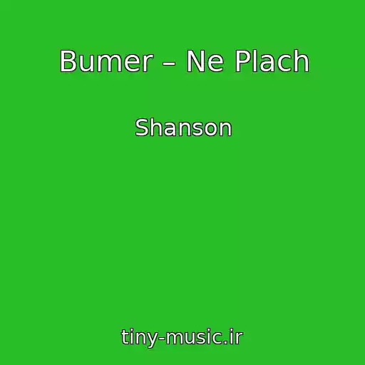 کاور آهنگ Bumer – Ne Plach از Shanson