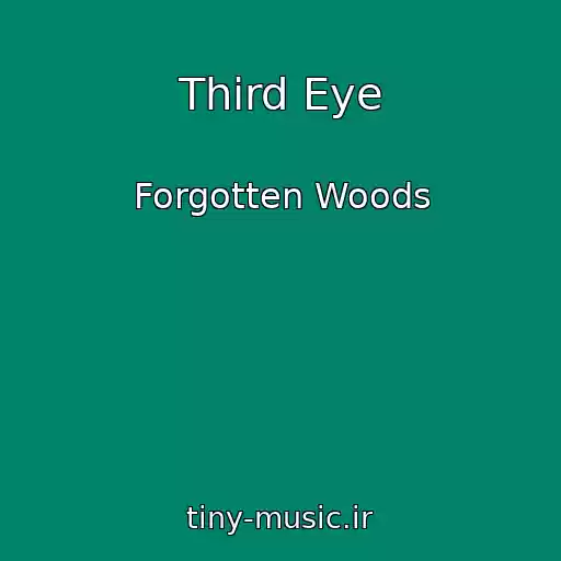 کاور آهنگ Third Eye از Forgotten Woods