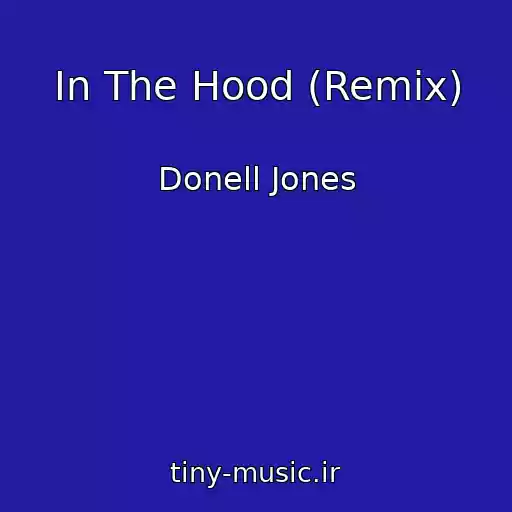 کاور آهنگ In The Hood (Remix) از Donell Jones