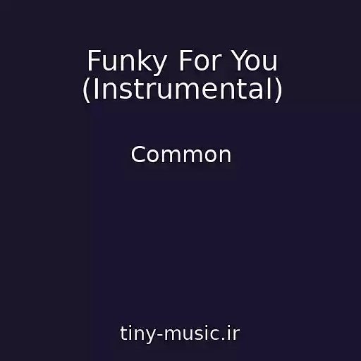 کاور آهنگ Funky For You (Instrumental) از Common