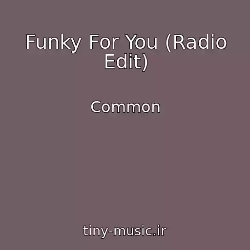 کاور آهنگ Funky For You (Radio Edit) از Common