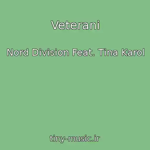 کاور آهنگ Veterani از Nord Division Feat. Tіna Karol