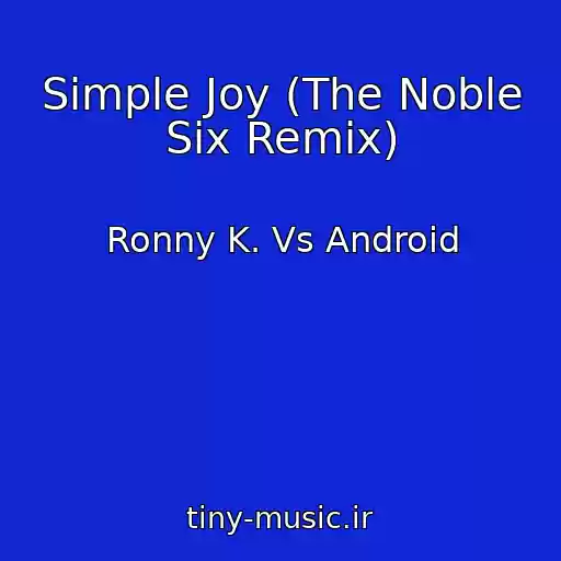 کاور آهنگ Simple Joy (The Noble Six Remix) از Ronny K. Vs Android